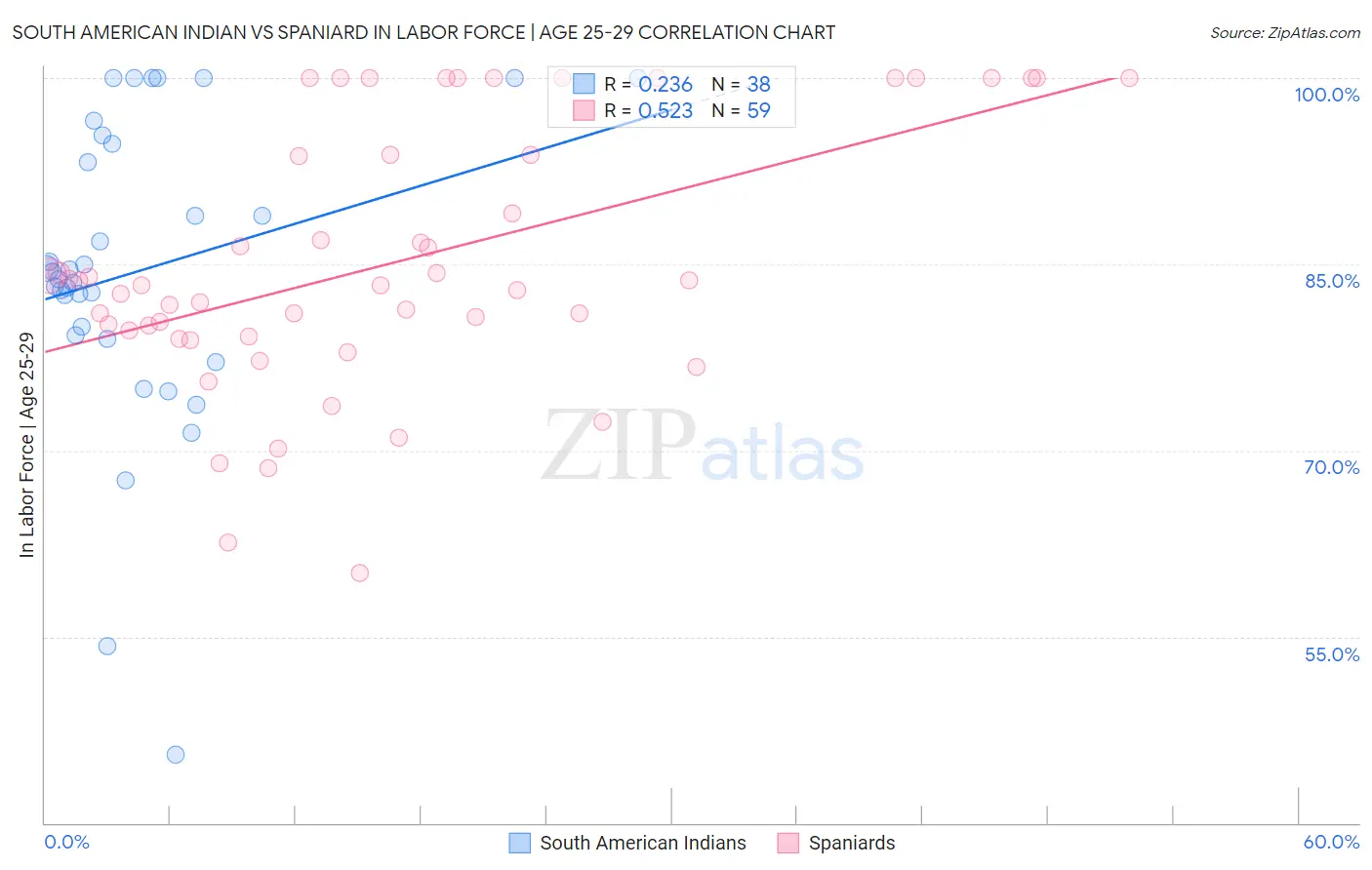 South American Indian vs Spaniard In Labor Force | Age 25-29