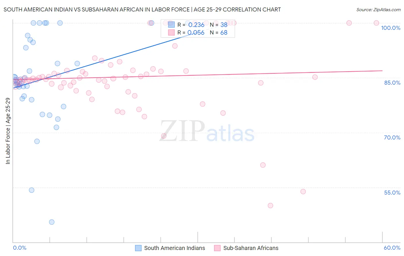 South American Indian vs Subsaharan African In Labor Force | Age 25-29