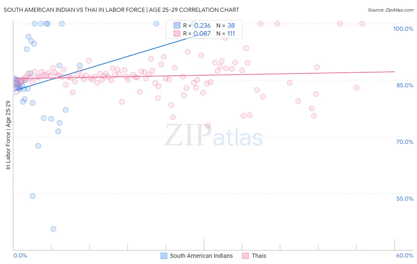 South American Indian vs Thai In Labor Force | Age 25-29