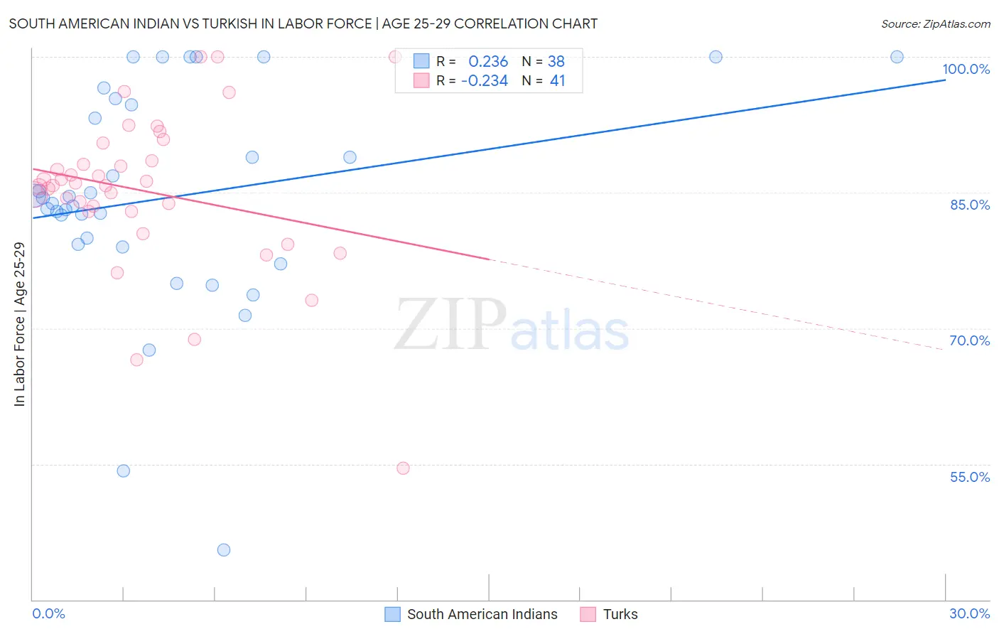 South American Indian vs Turkish In Labor Force | Age 25-29