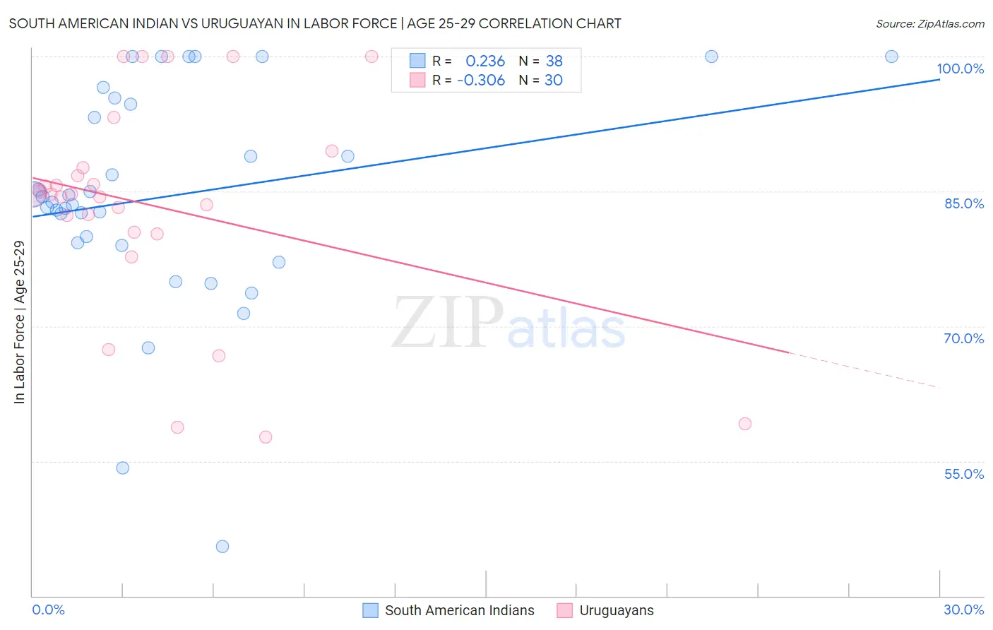 South American Indian vs Uruguayan In Labor Force | Age 25-29