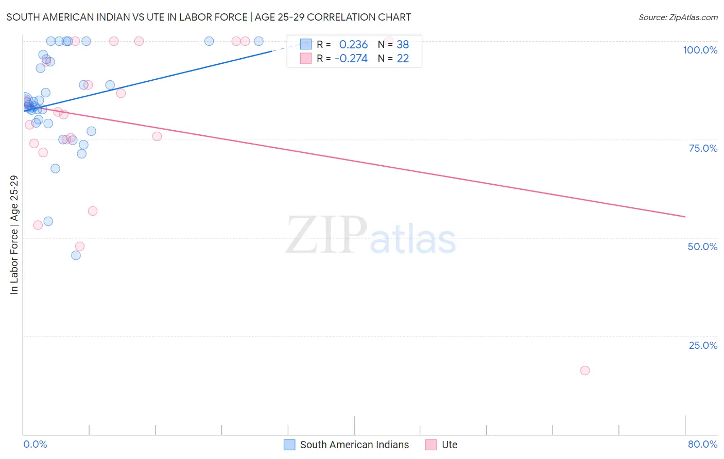 South American Indian vs Ute In Labor Force | Age 25-29