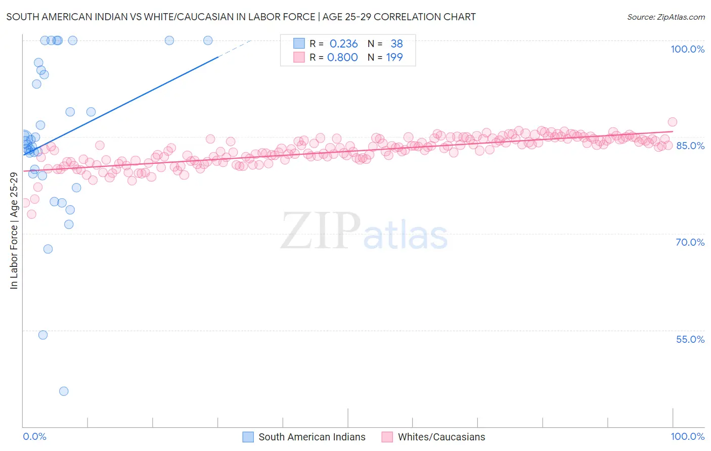 South American Indian vs White/Caucasian In Labor Force | Age 25-29