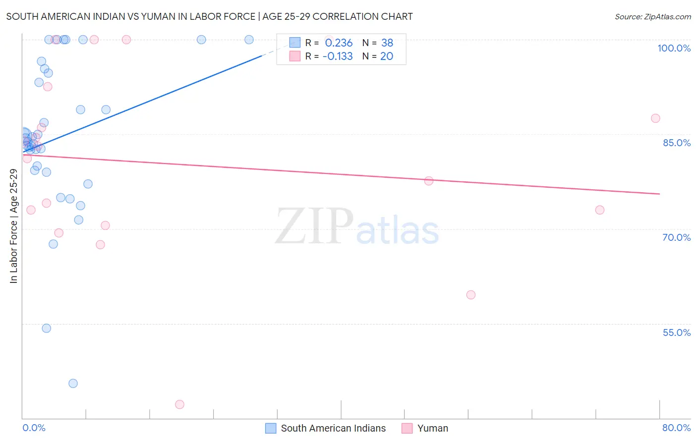 South American Indian vs Yuman In Labor Force | Age 25-29