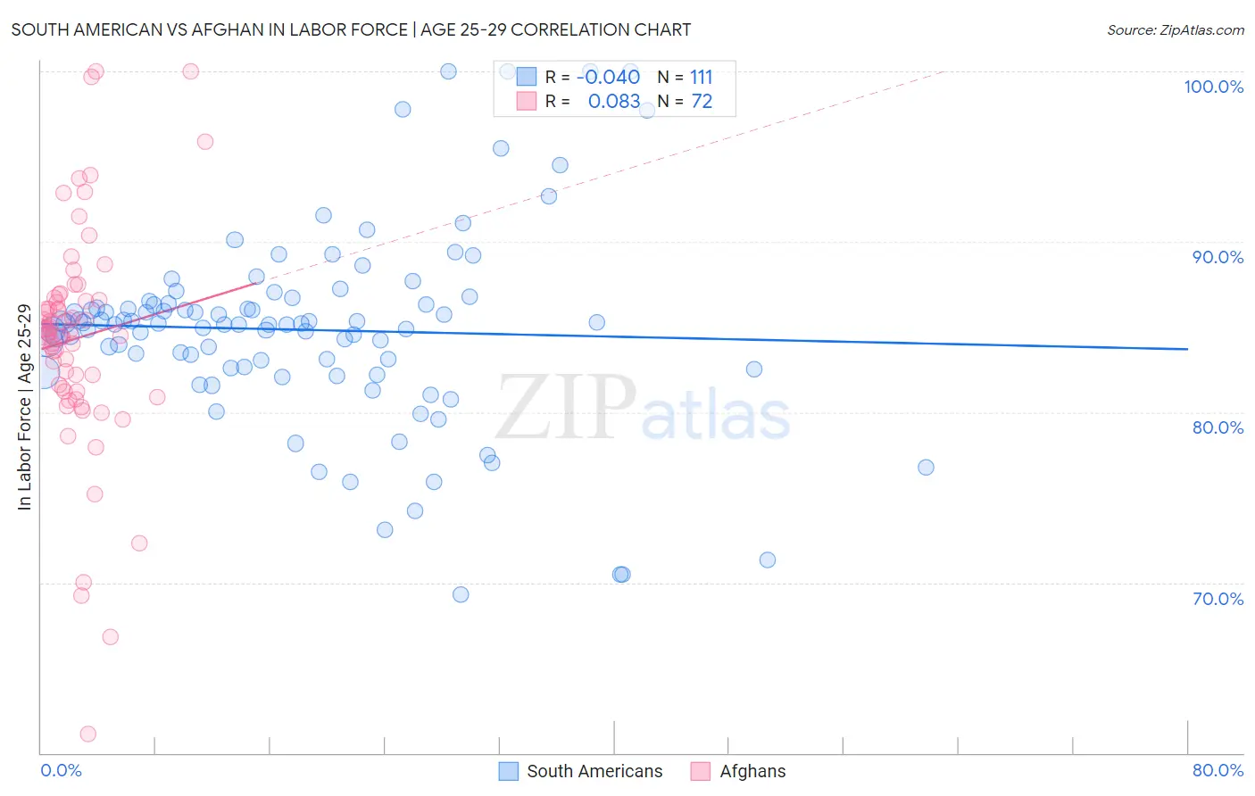 South American vs Afghan In Labor Force | Age 25-29