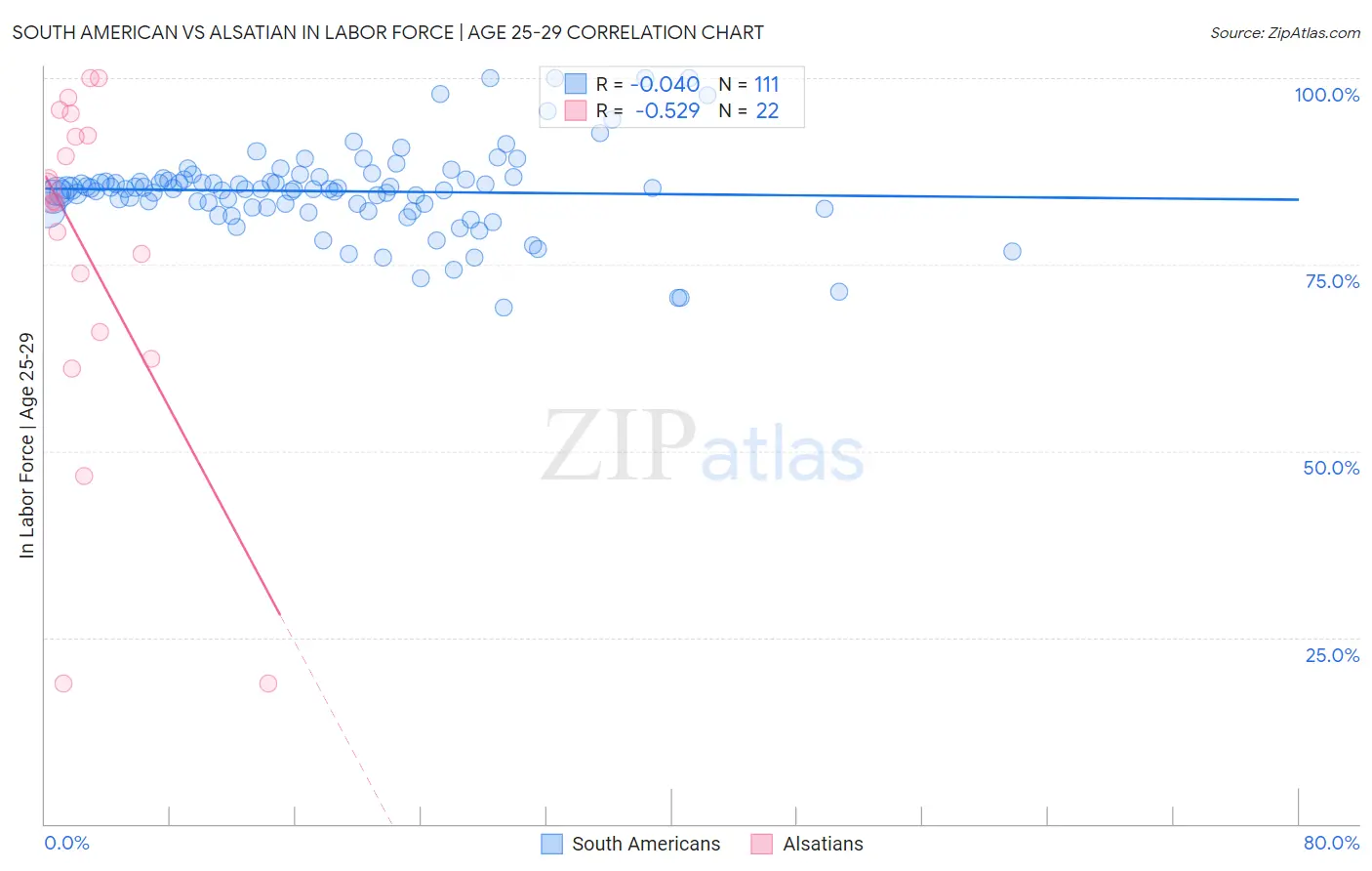 South American vs Alsatian In Labor Force | Age 25-29