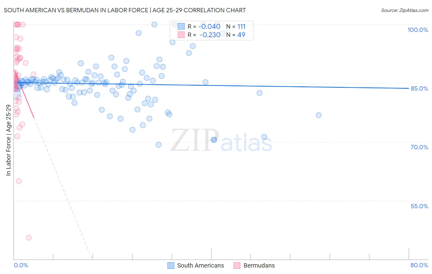 South American vs Bermudan In Labor Force | Age 25-29