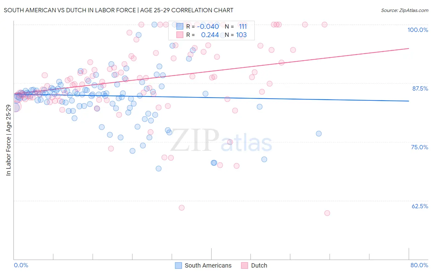 South American vs Dutch In Labor Force | Age 25-29