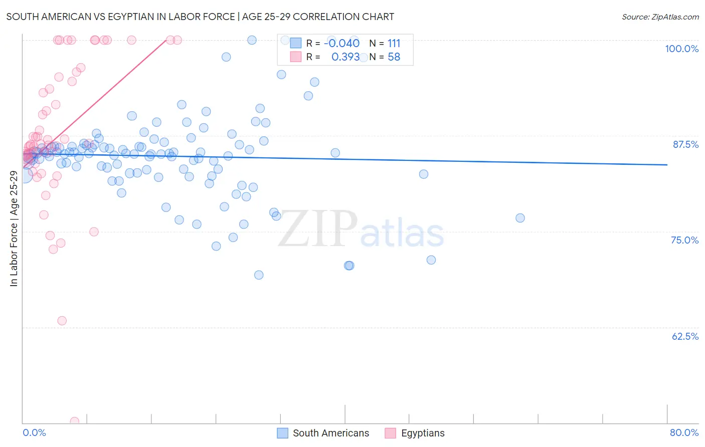 South American vs Egyptian In Labor Force | Age 25-29