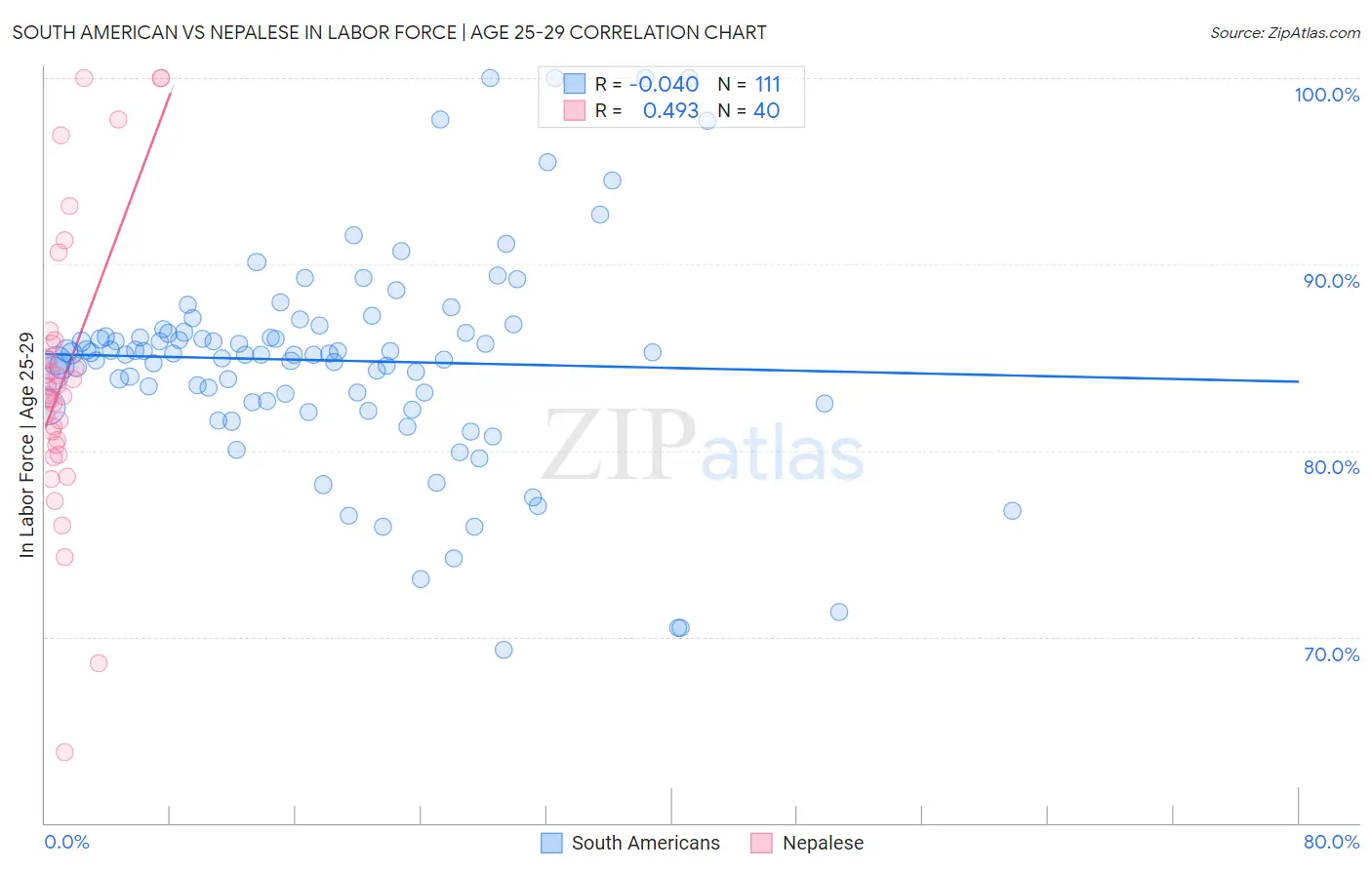 South American vs Nepalese In Labor Force | Age 25-29