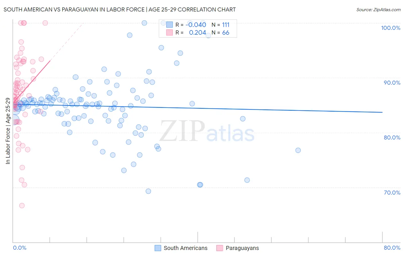 South American vs Paraguayan In Labor Force | Age 25-29
