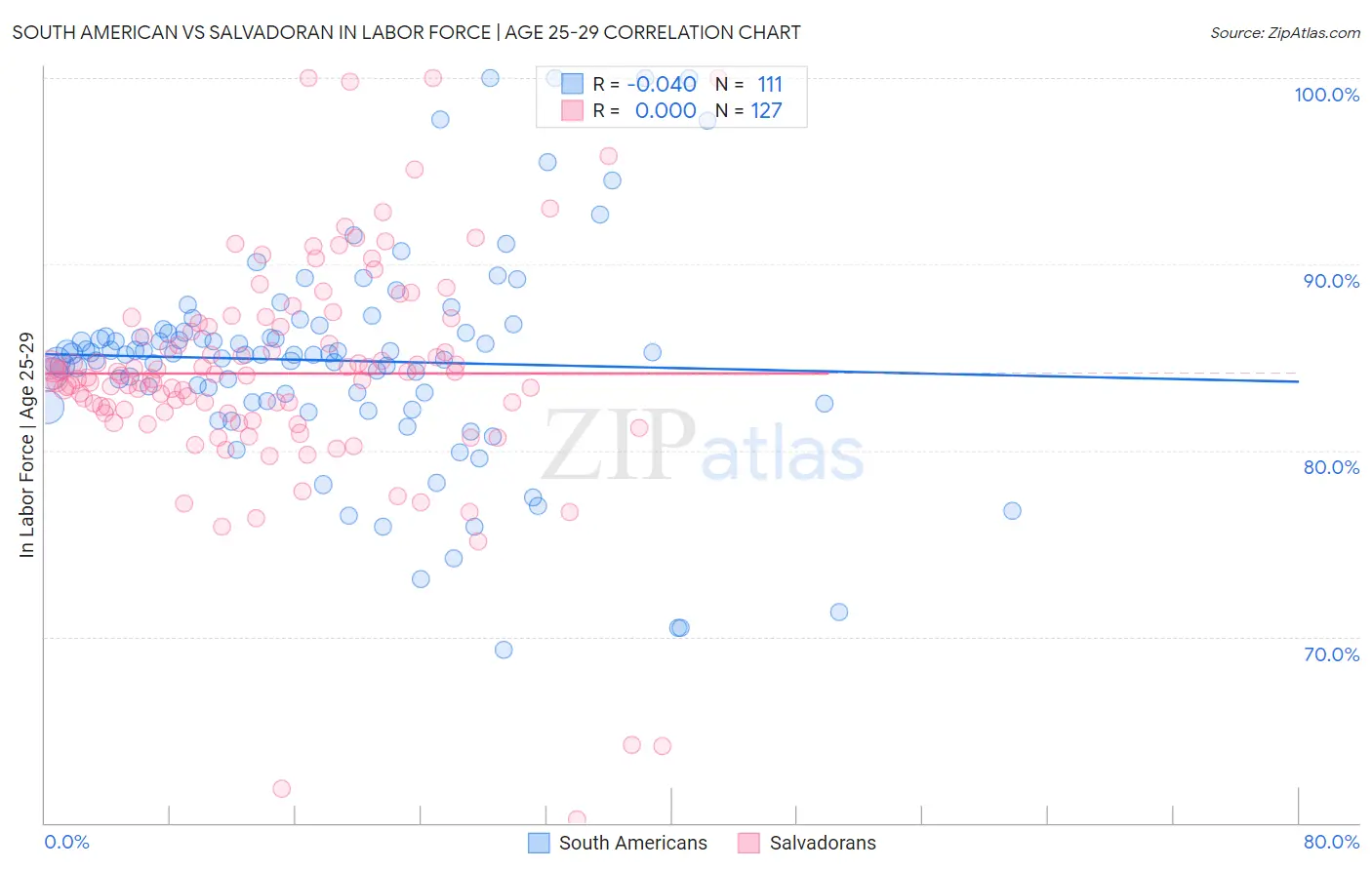 South American vs Salvadoran In Labor Force | Age 25-29