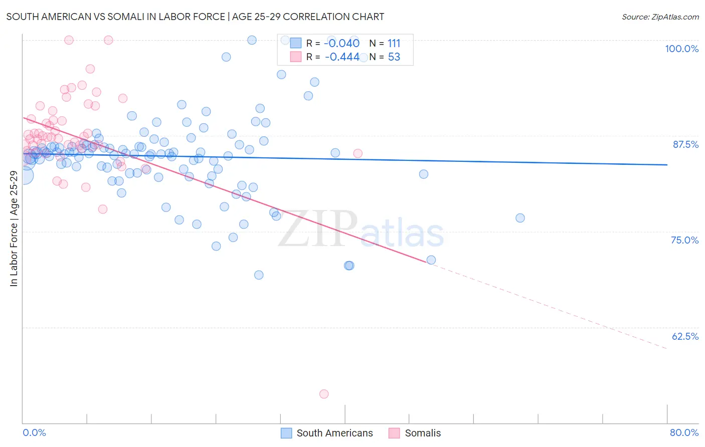 South American vs Somali In Labor Force | Age 25-29