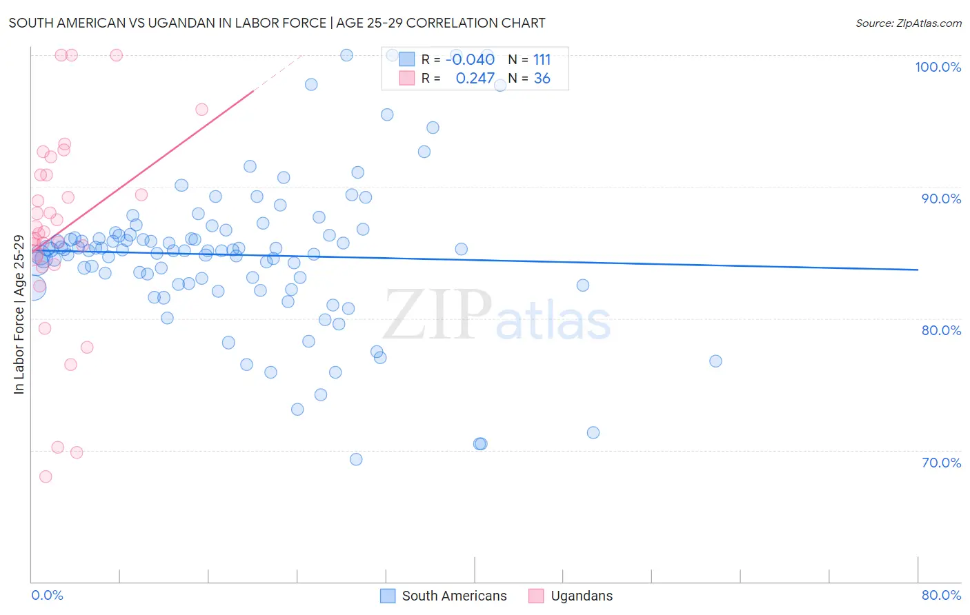 South American vs Ugandan In Labor Force | Age 25-29