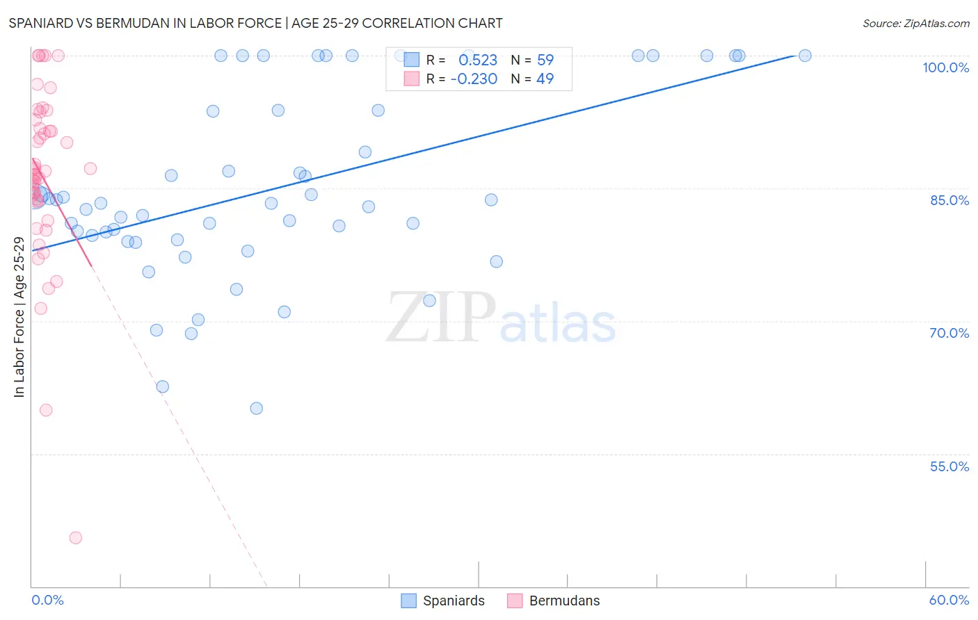 Spaniard vs Bermudan In Labor Force | Age 25-29
