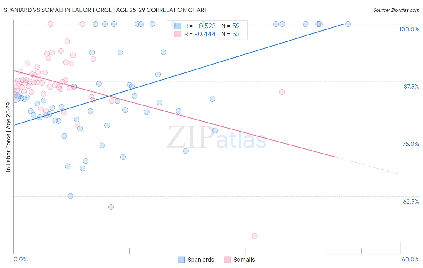 Spaniard vs Somali In Labor Force | Age 25-29