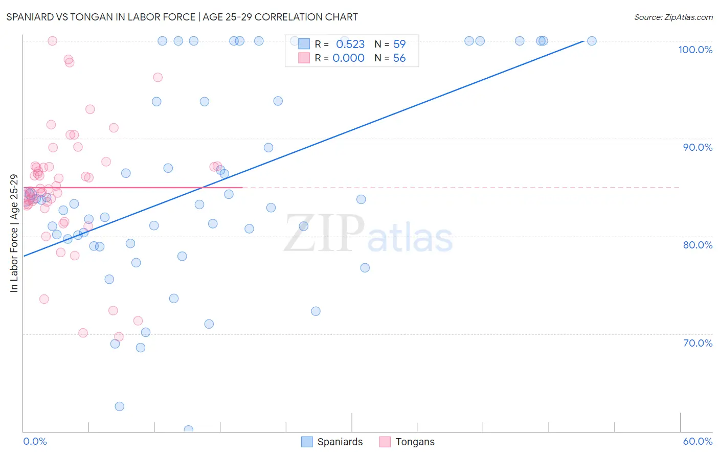 Spaniard vs Tongan In Labor Force | Age 25-29