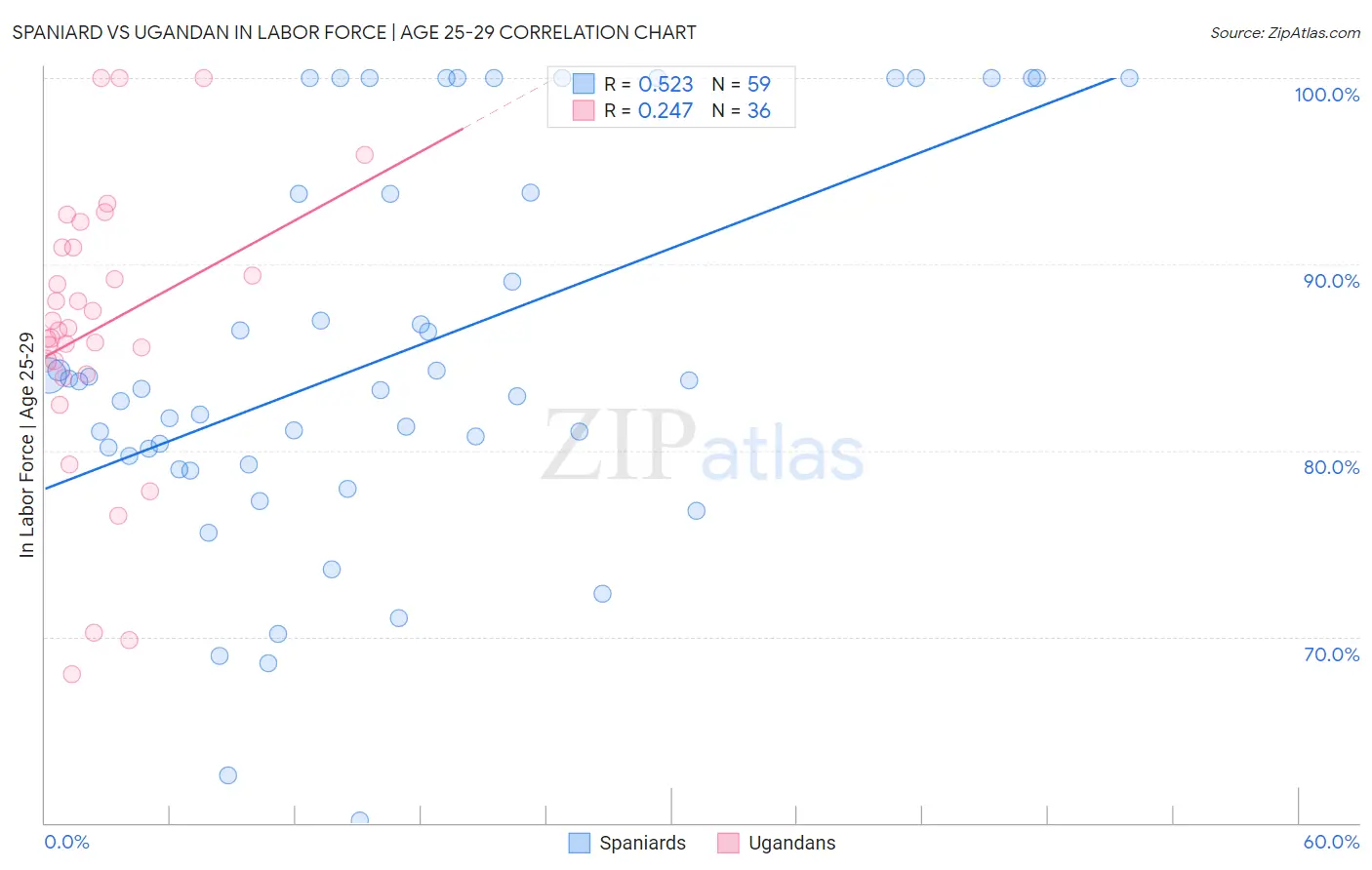 Spaniard vs Ugandan In Labor Force | Age 25-29