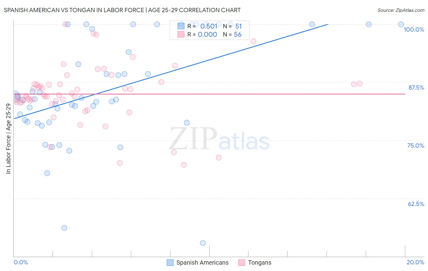 Spanish American vs Tongan In Labor Force | Age 25-29