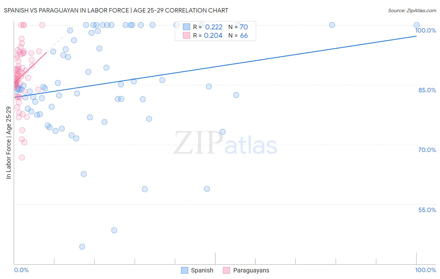 Spanish vs Paraguayan In Labor Force | Age 25-29