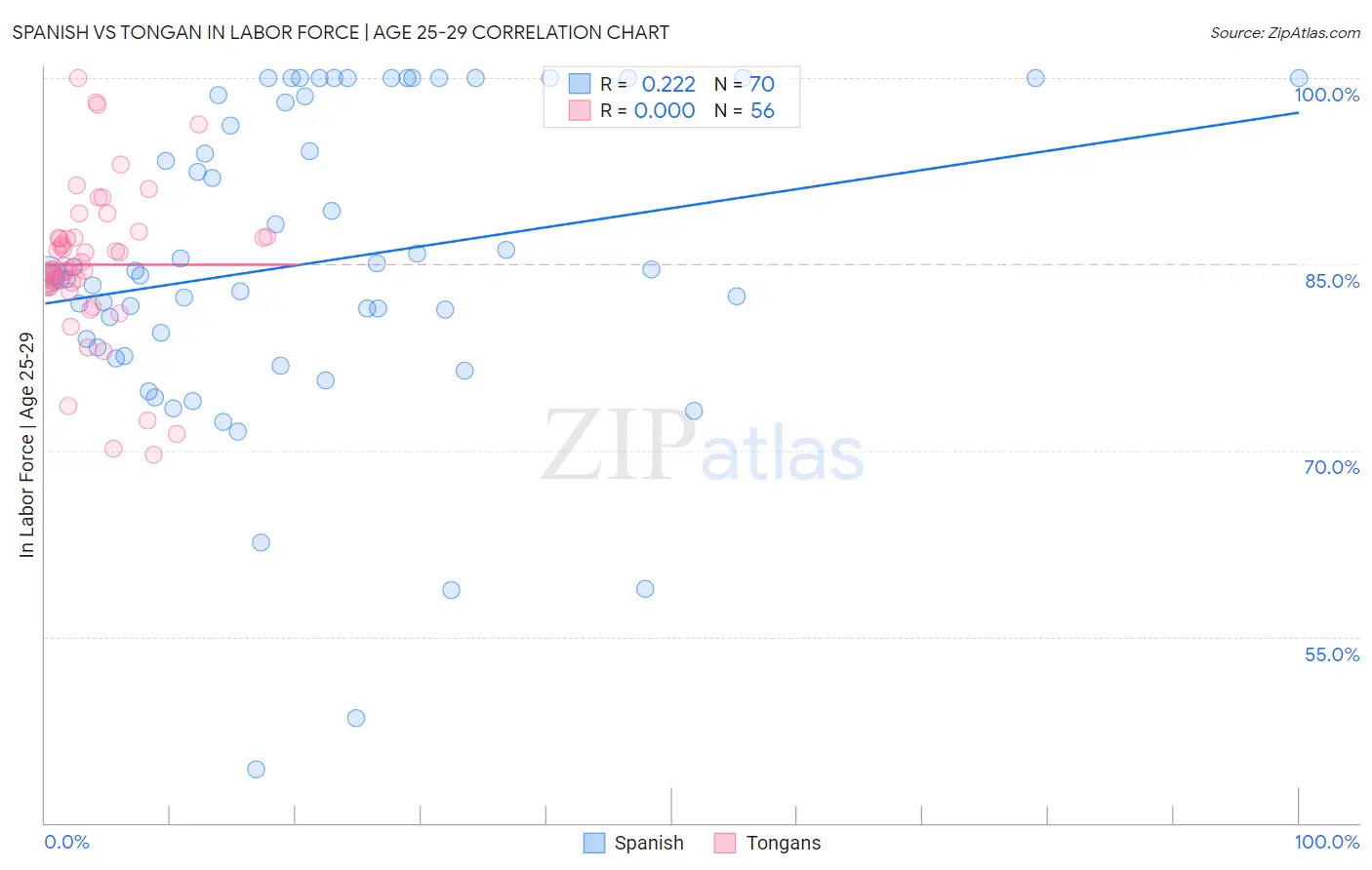 Spanish vs Tongan In Labor Force | Age 25-29
