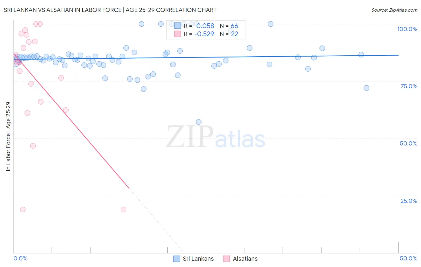 Sri Lankan vs Alsatian In Labor Force | Age 25-29