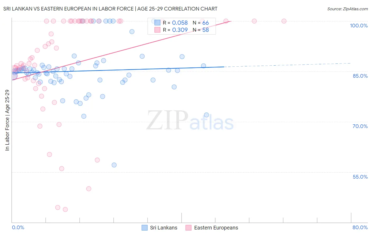 Sri Lankan vs Eastern European In Labor Force | Age 25-29