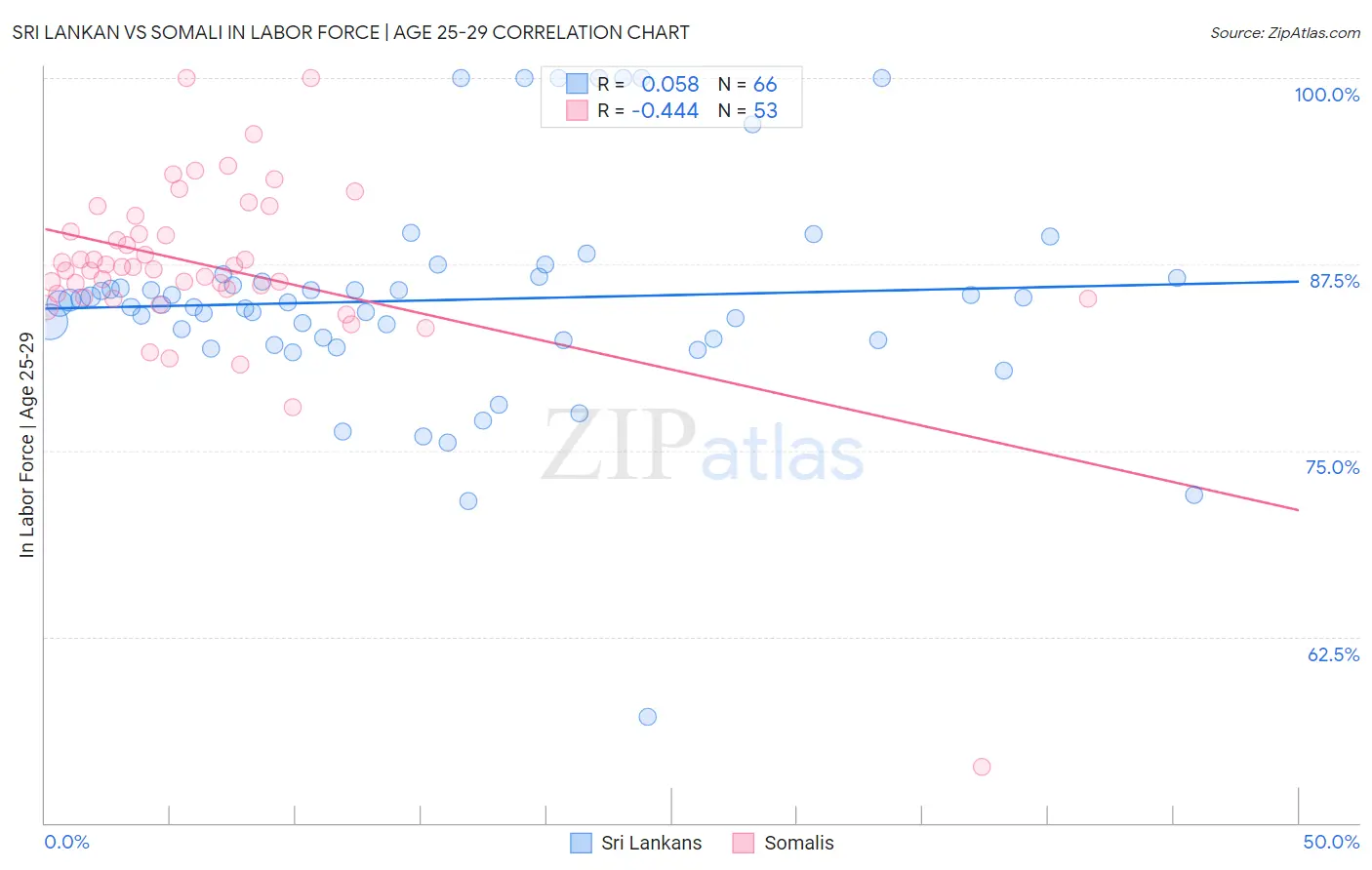 Sri Lankan vs Somali In Labor Force | Age 25-29