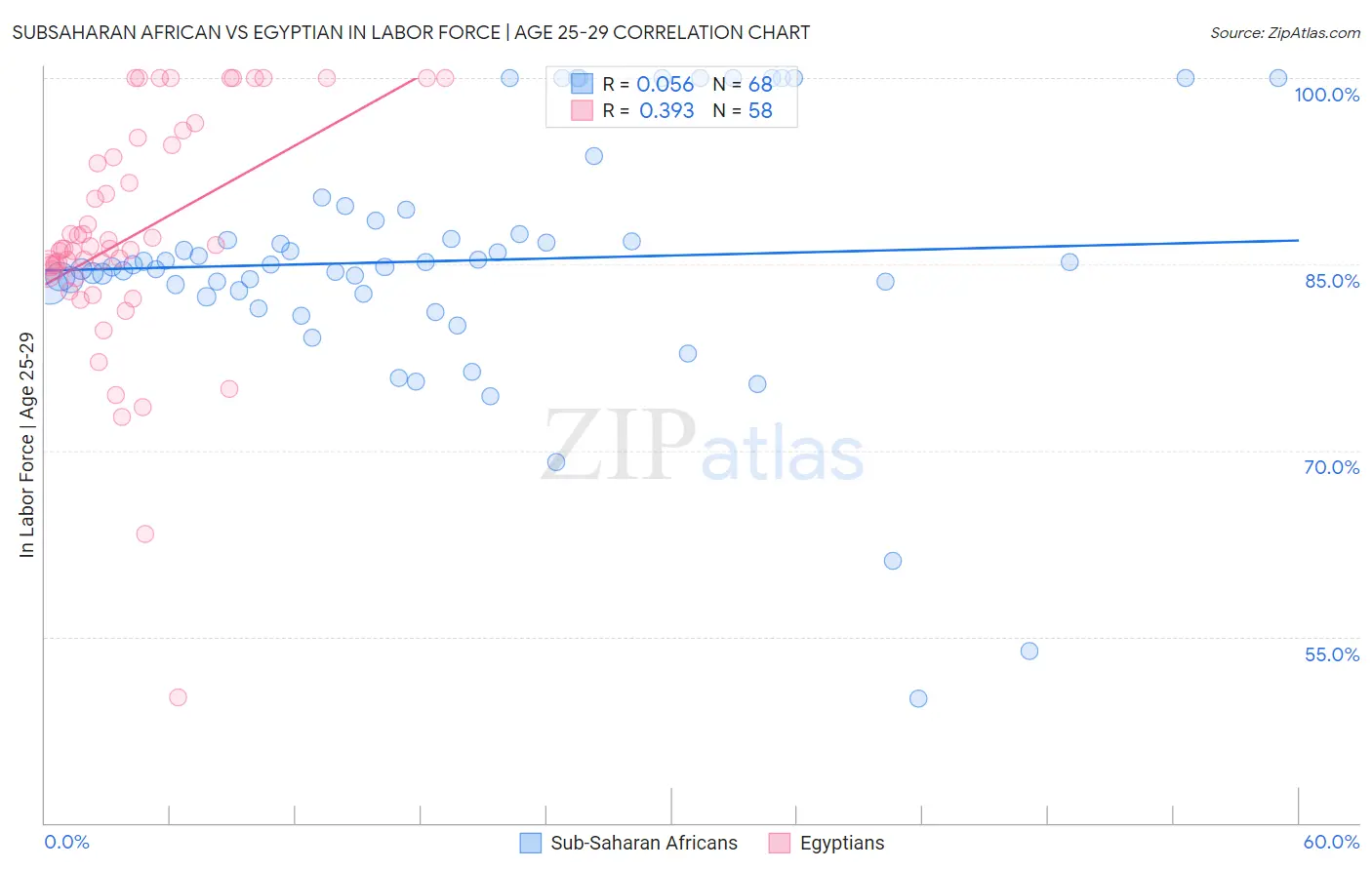 Subsaharan African vs Egyptian In Labor Force | Age 25-29