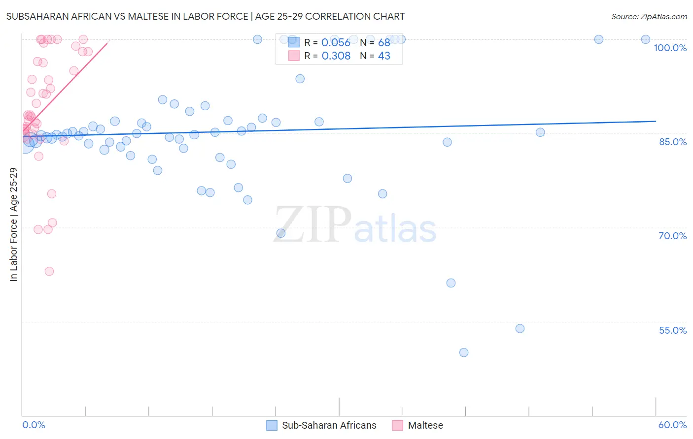 Subsaharan African vs Maltese In Labor Force | Age 25-29