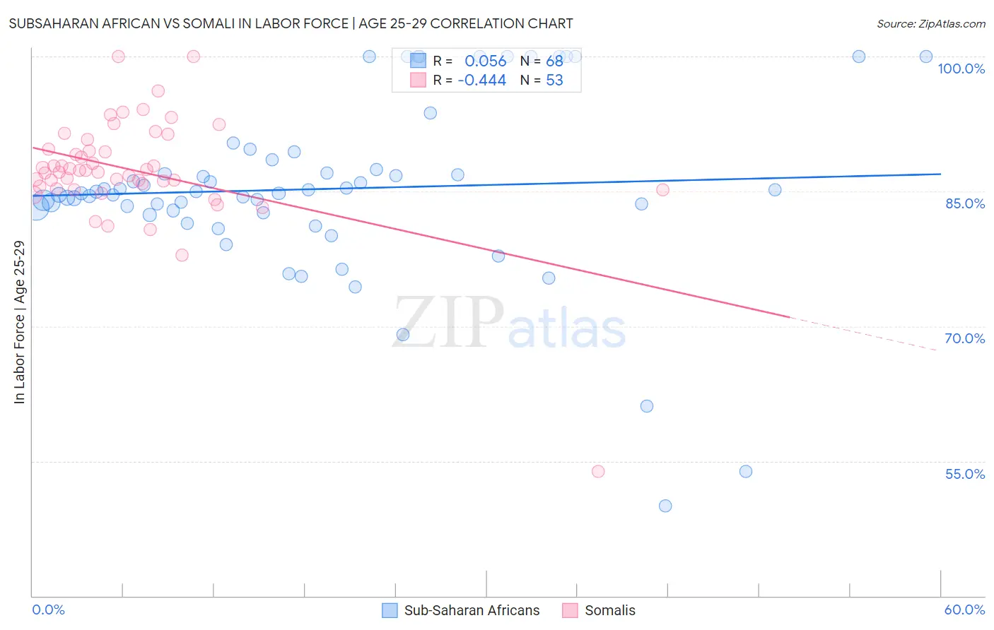 Subsaharan African vs Somali In Labor Force | Age 25-29