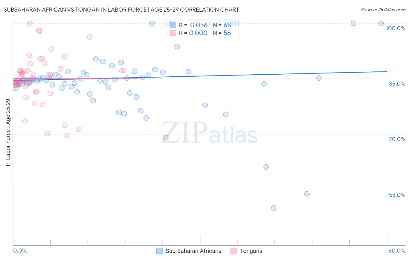 Subsaharan African vs Tongan In Labor Force | Age 25-29