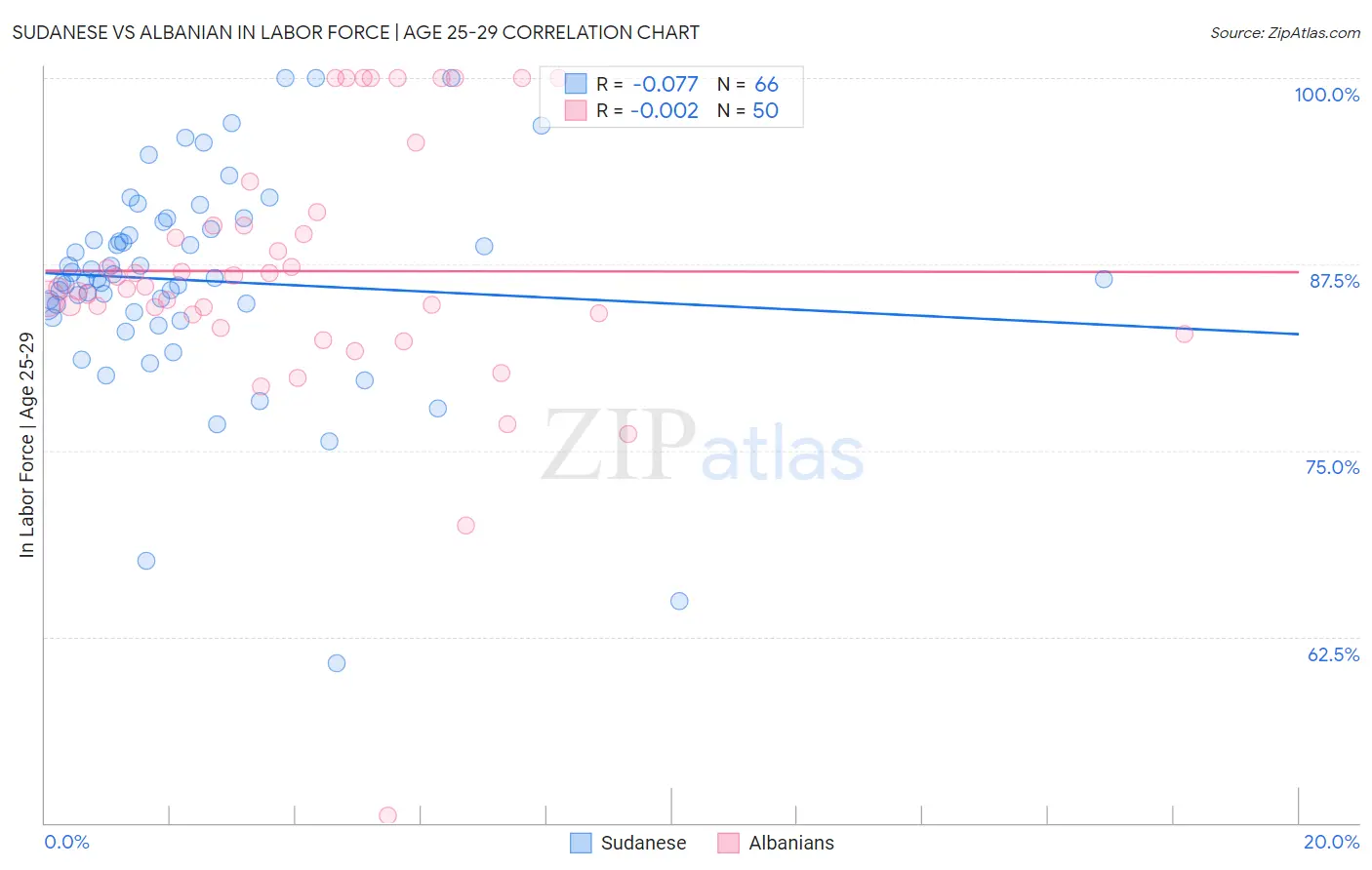 Sudanese vs Albanian In Labor Force | Age 25-29