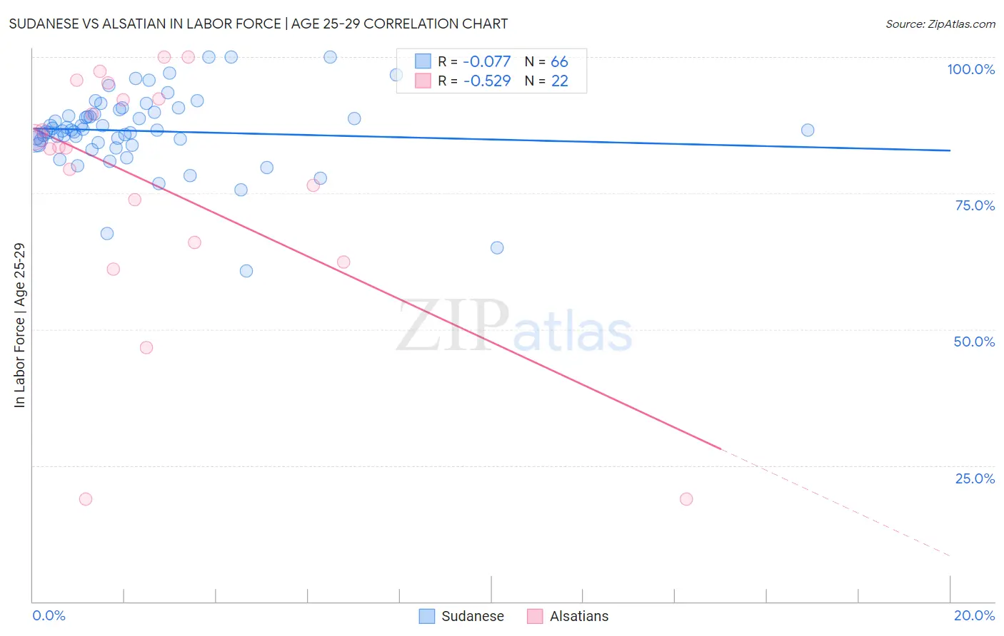 Sudanese vs Alsatian In Labor Force | Age 25-29