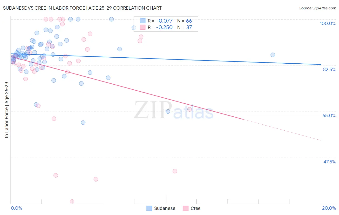 Sudanese vs Cree In Labor Force | Age 25-29