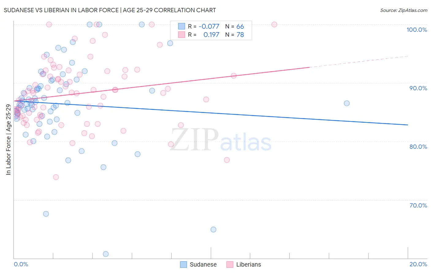 Sudanese vs Liberian In Labor Force | Age 25-29