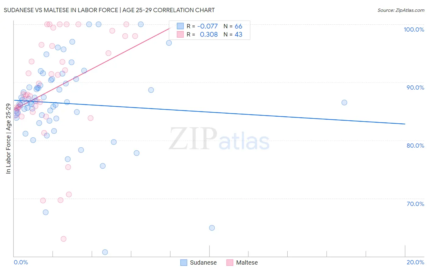Sudanese vs Maltese In Labor Force | Age 25-29