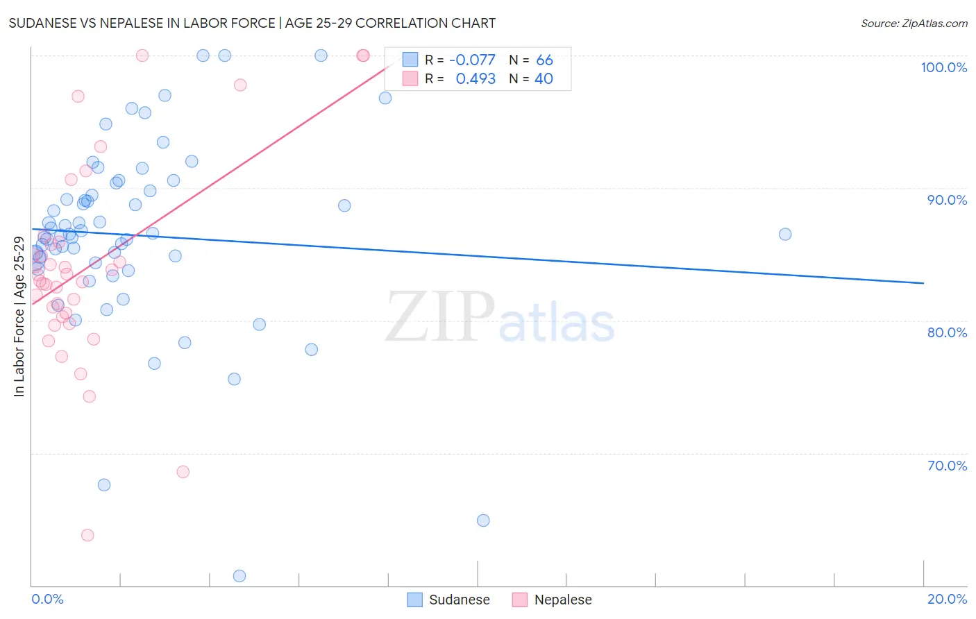 Sudanese vs Nepalese In Labor Force | Age 25-29