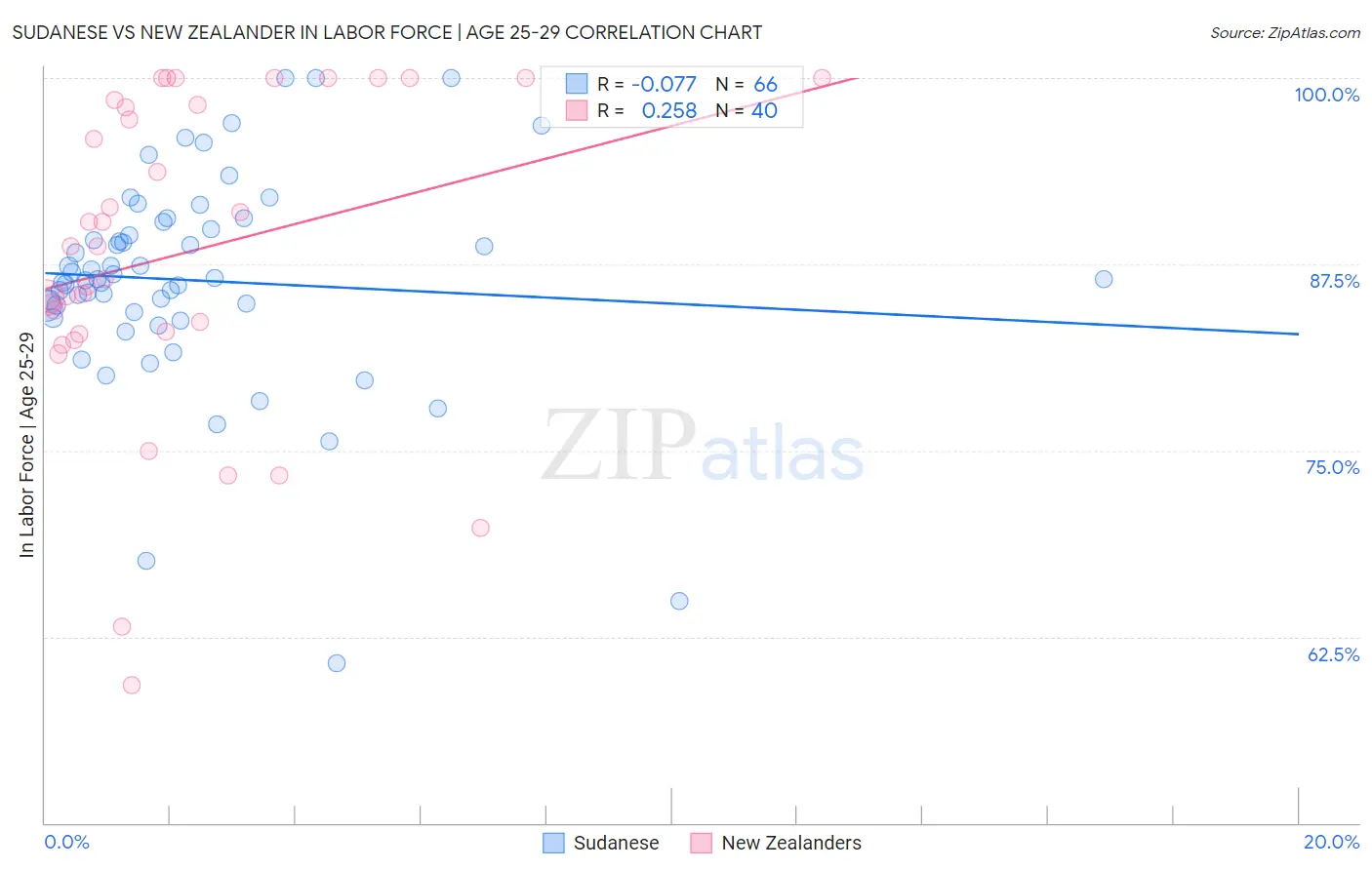Sudanese vs New Zealander In Labor Force | Age 25-29