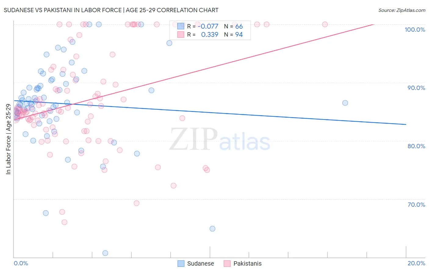 Sudanese vs Pakistani In Labor Force | Age 25-29