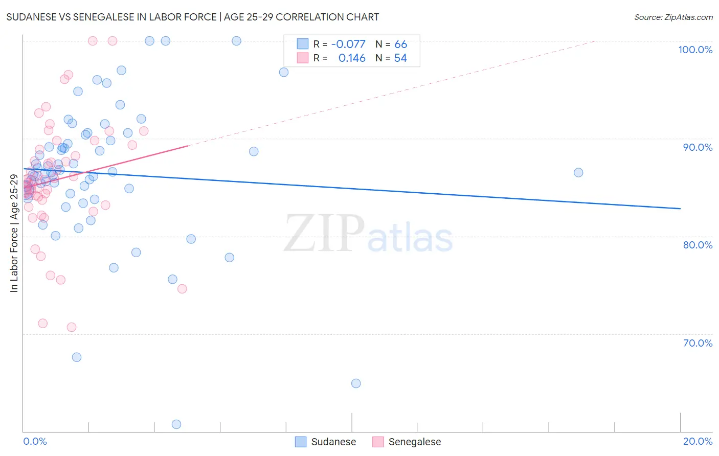 Sudanese vs Senegalese In Labor Force | Age 25-29