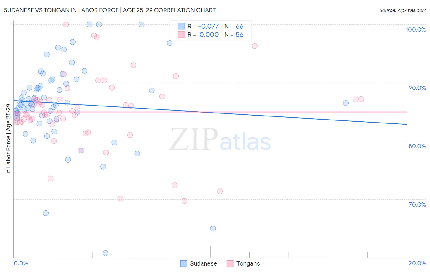 Sudanese vs Tongan In Labor Force | Age 25-29