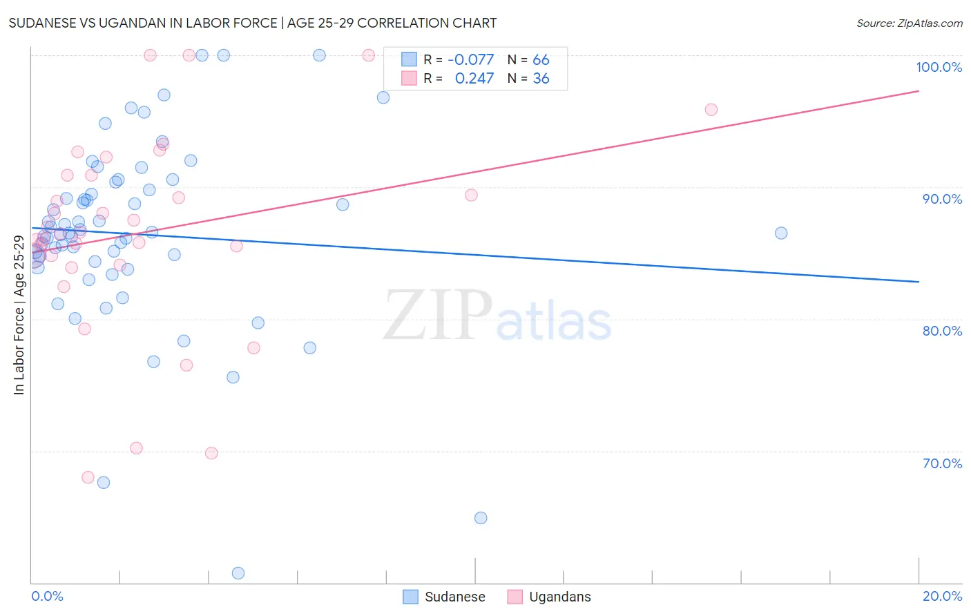 Sudanese vs Ugandan In Labor Force | Age 25-29