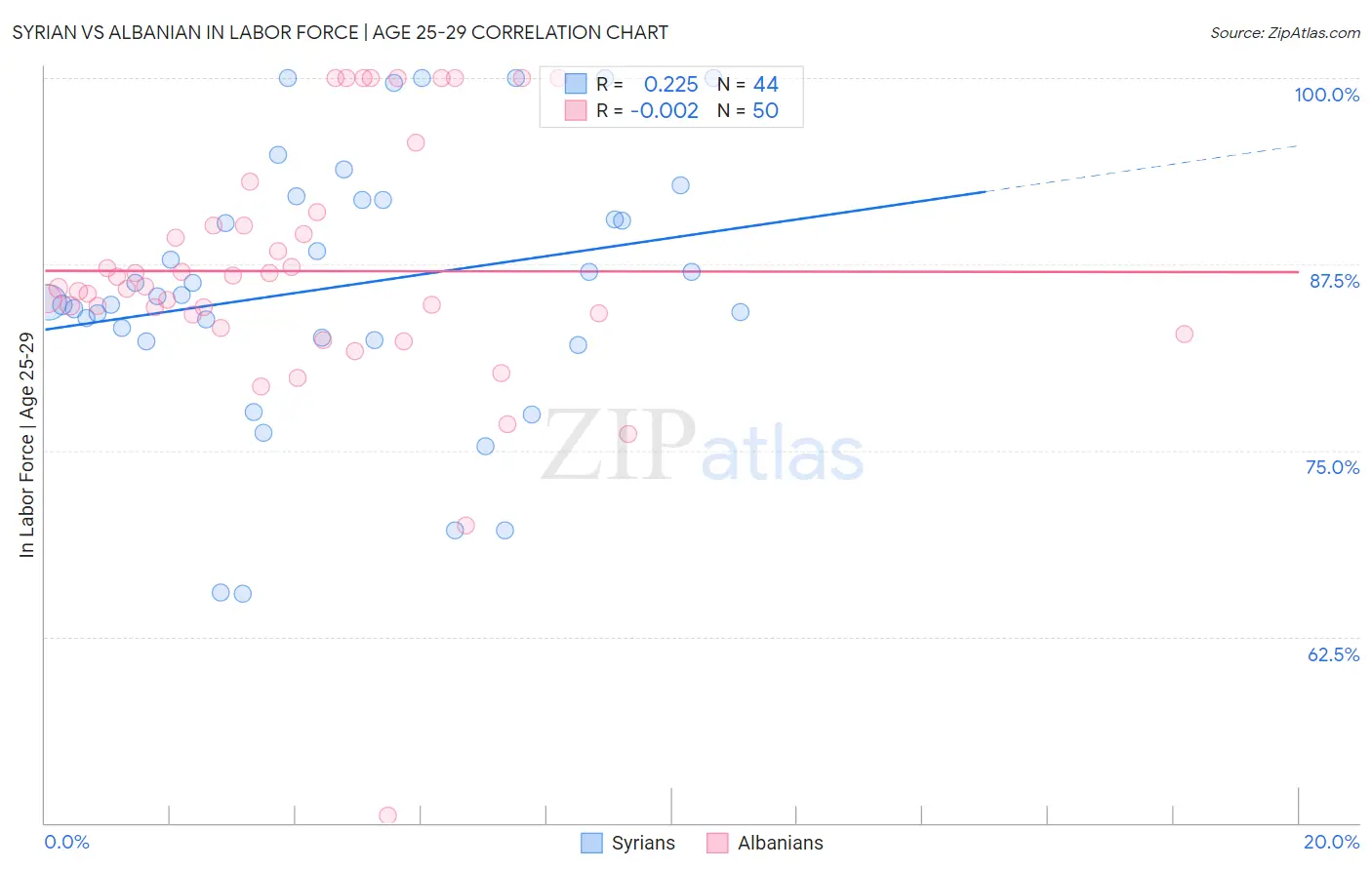 Syrian vs Albanian In Labor Force | Age 25-29