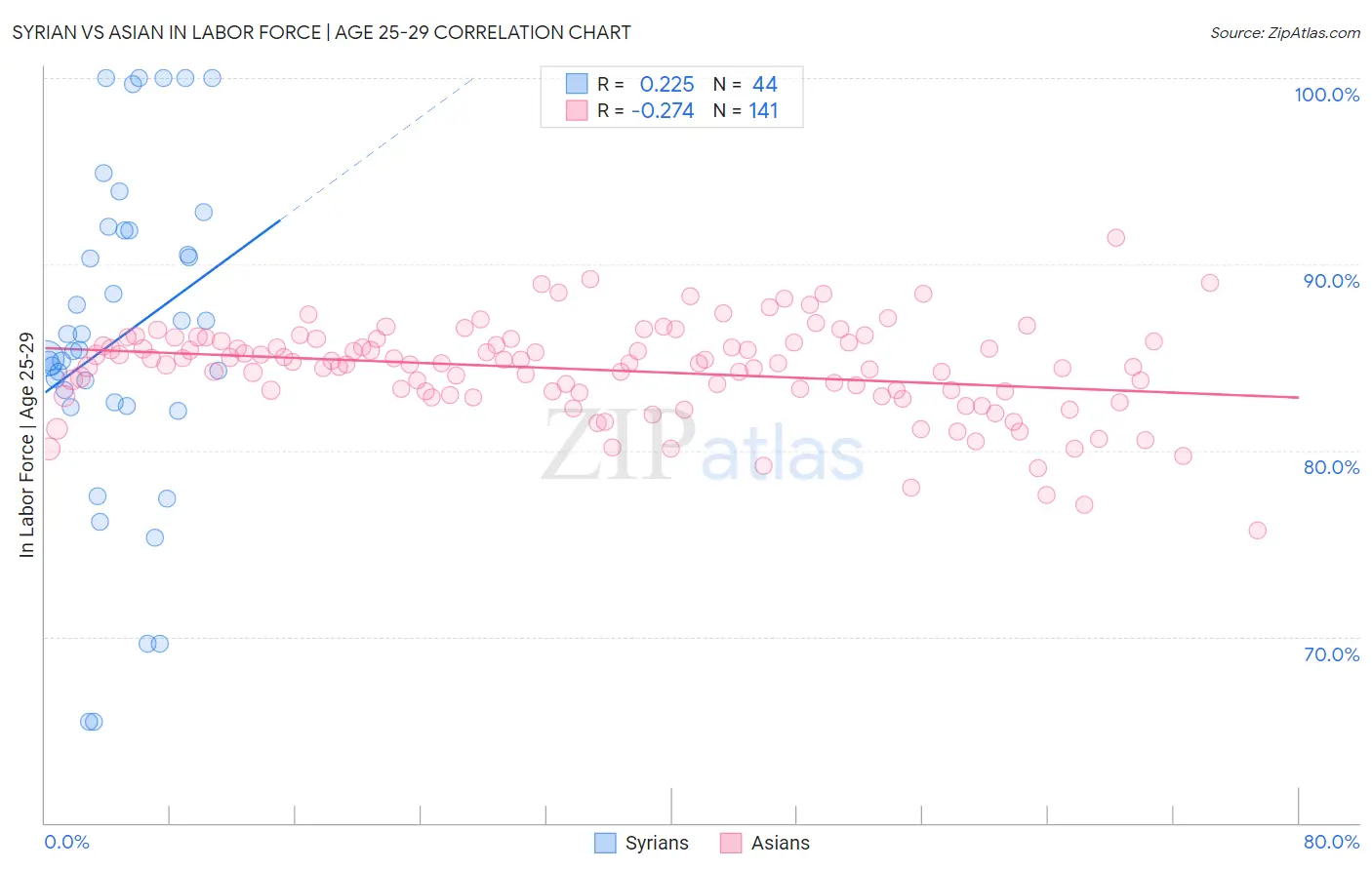 Syrian vs Asian In Labor Force | Age 25-29