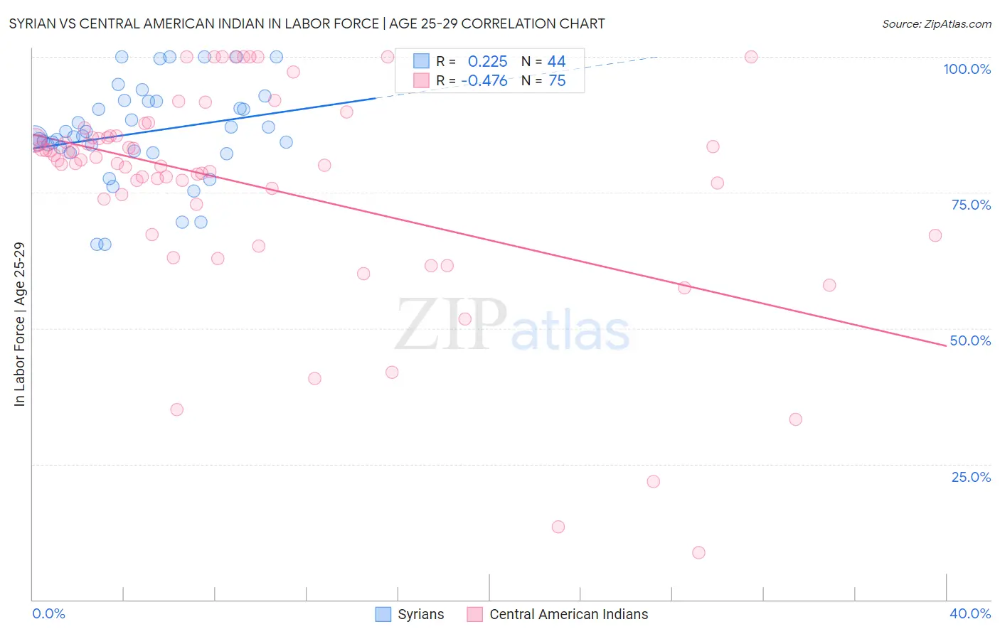 Syrian vs Central American Indian In Labor Force | Age 25-29