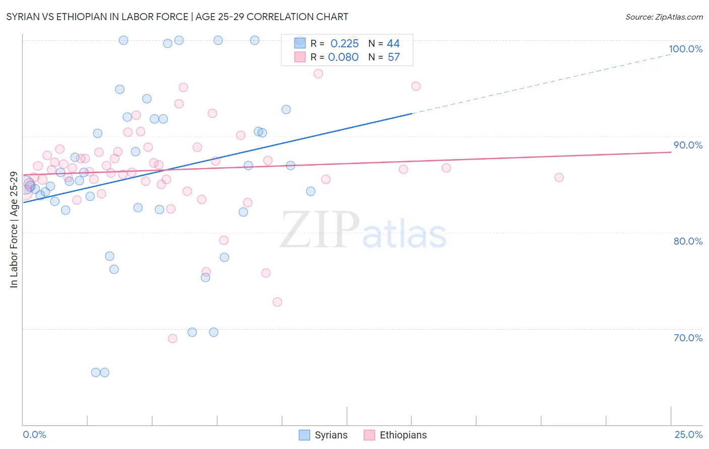 Syrian vs Ethiopian In Labor Force | Age 25-29