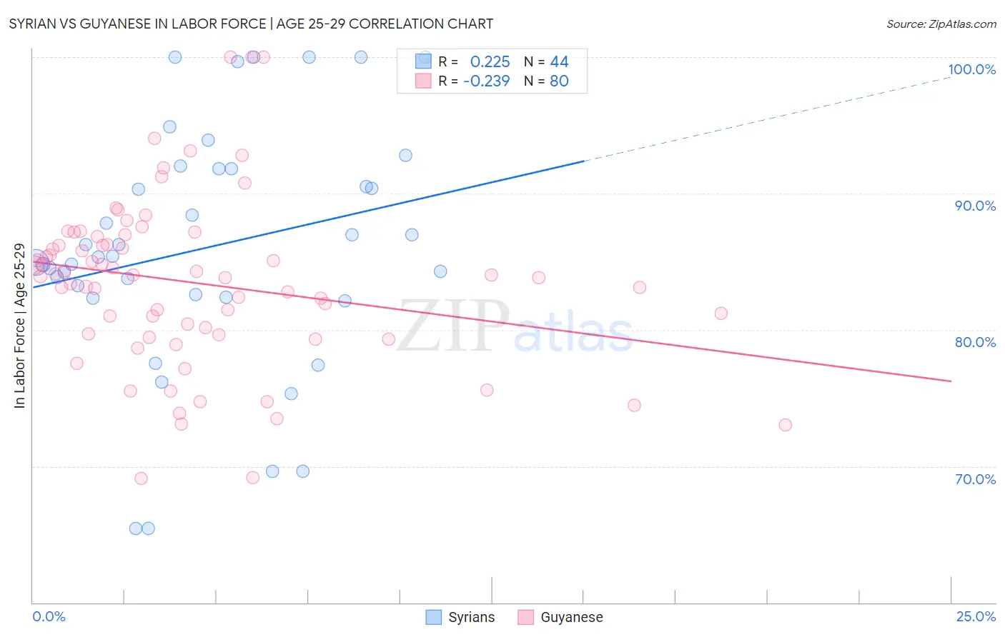 Syrian vs Guyanese In Labor Force | Age 25-29