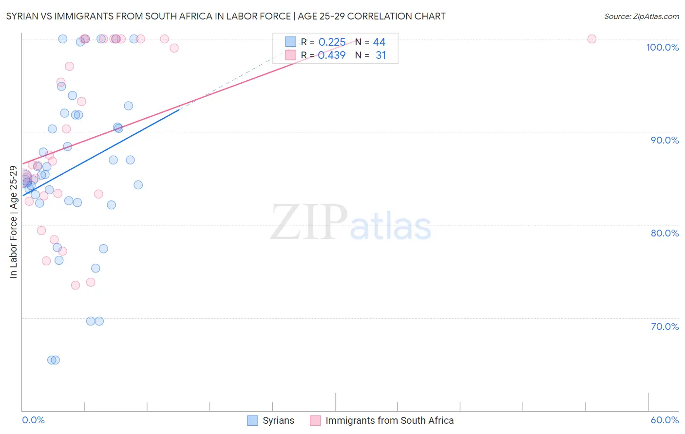 Syrian vs Immigrants from South Africa In Labor Force | Age 25-29