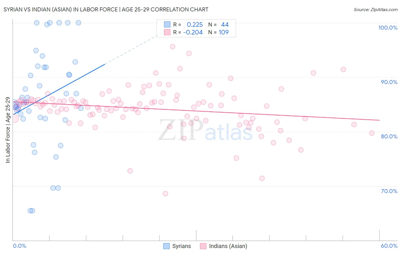 Syrian vs Indian (Asian) In Labor Force | Age 25-29
